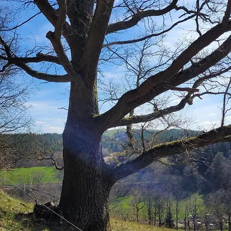 Kleines Mit Gartenzugang Lejlighed Milbitz
