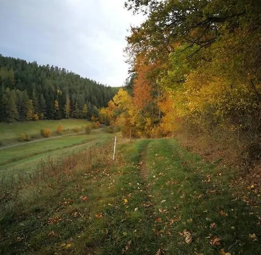 Apartmán Kleines Mit Gartenzugang *