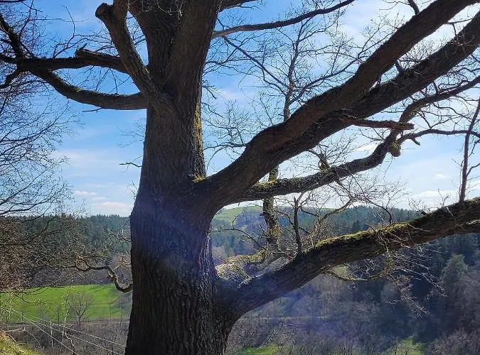 Kleines Mit Gartenzugang Apartmán Milbitz